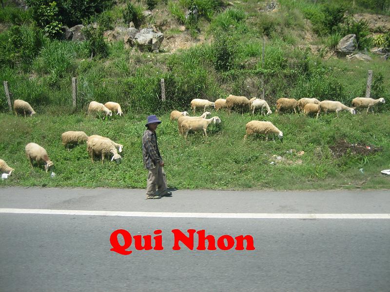 090001 Qui Nhon.JPG